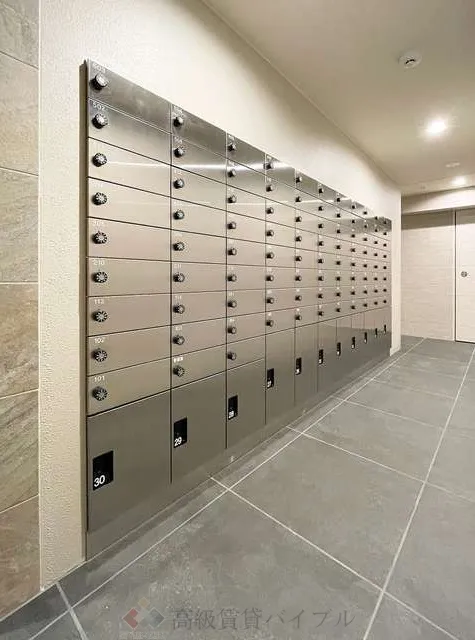 ＯＲＳＵＳ　ＵＭＥＪＩＭＡ の画像3