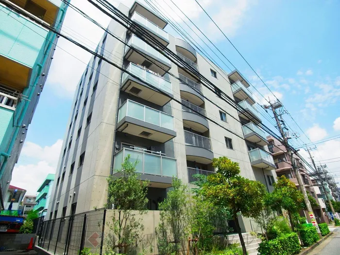 Sunny Side Forest (サニーサイドフォレスト)