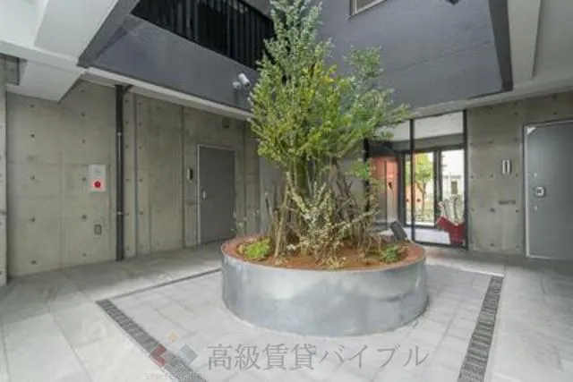 Sunny Side Forest (サニーサイドフォレスト) の画像5