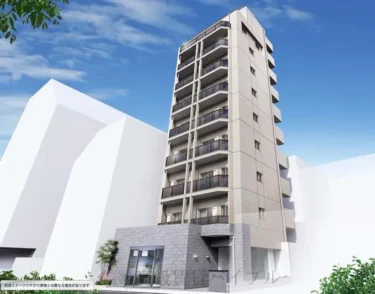 ＡＬＩＶＩＯ　Ｎ＆Ｓ　Ｓｈｉｂｕｙａ