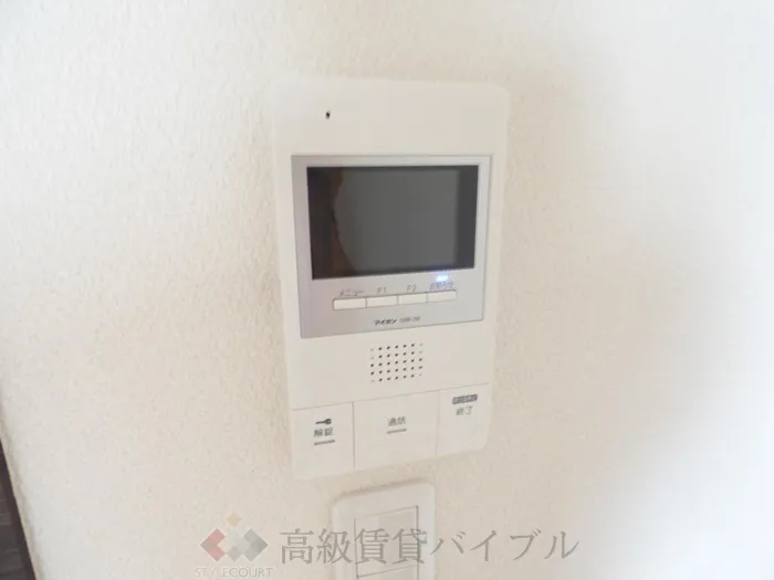 グレイス綾瀬 の画像12