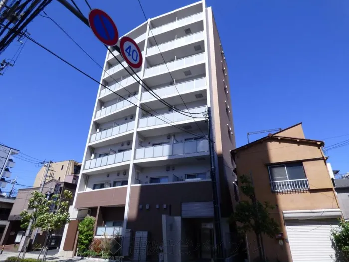 グレイス綾瀬 の画像2