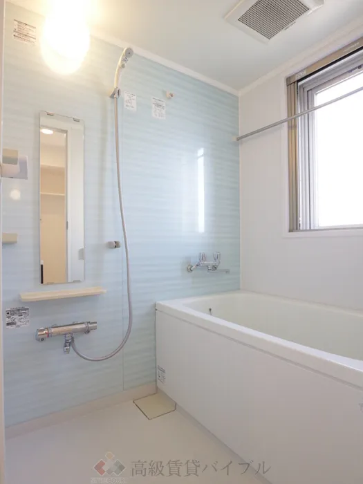 ラフィーヌ自由が丘 の画像5