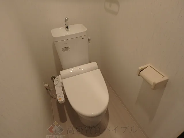 Ｐｒｉｍａ　Ｓｔｅｌｌａ の画像8