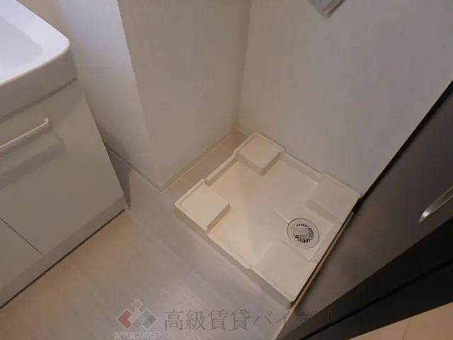 Ｐｒｉｍａ　Ｓｔｅｌｌａ の画像11