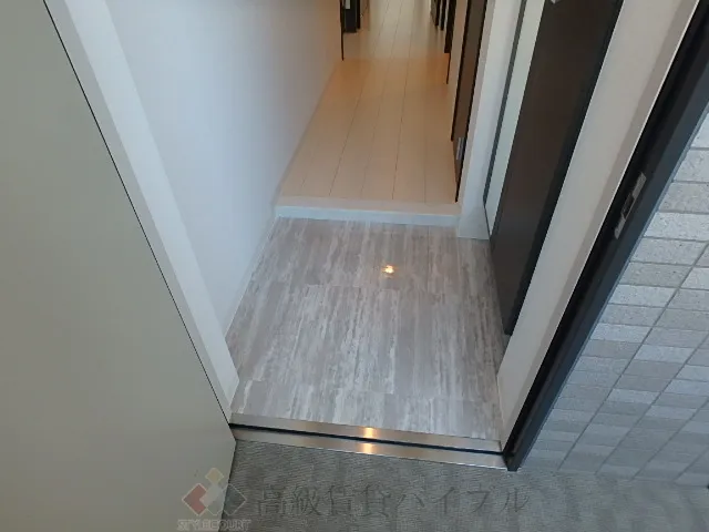 Ｐｒｉｍａ　Ｓｔｅｌｌａ の画像3