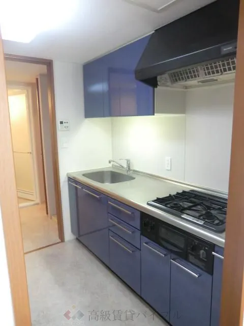 ＣＩＴＹ　ＰＬＡＣＥ　ＡＹＡＳＥ の画像12