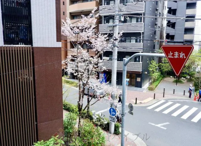 ブルックサイド水天宮前 の画像13