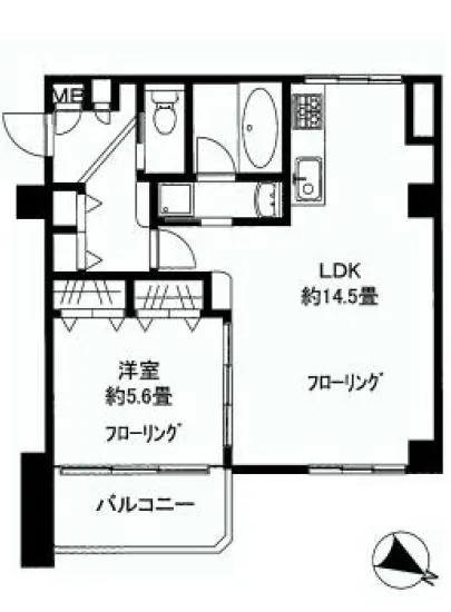 白金台ハウス 205