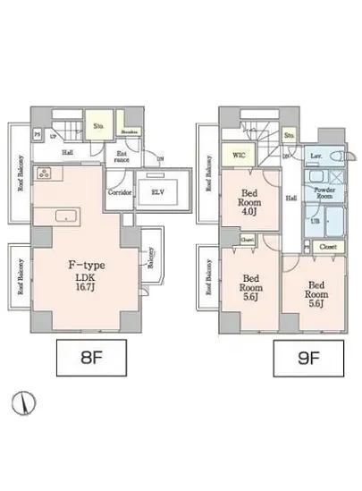 グレイシス西麻布 801