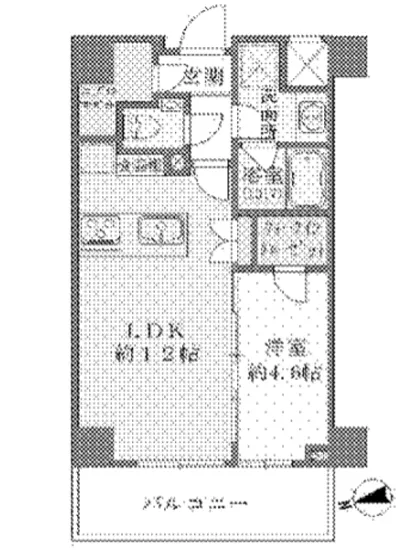 エヴァート長者丸 302