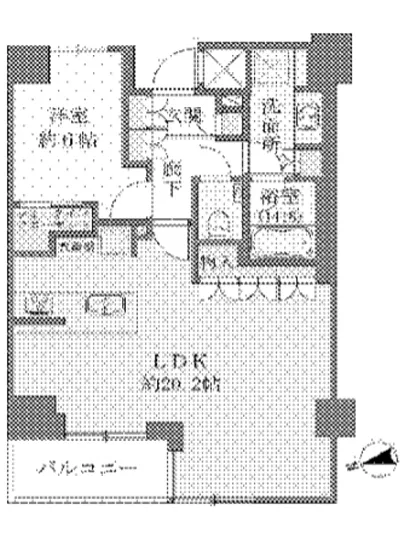 エヴァート長者丸 104