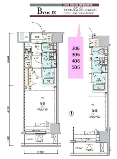 ジェノヴィア錦糸町2スカイガーデン 306