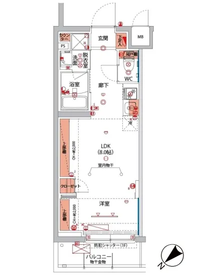 ベルグレードSI 204