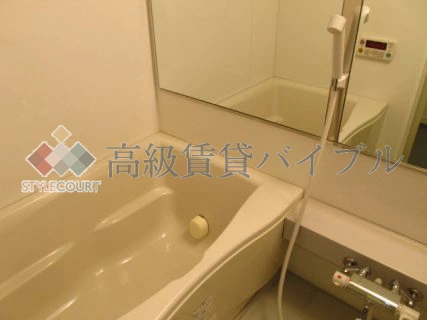 ジ・オーブ・ルミナス の画像10