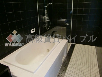 コートヒルズ広尾南 の画像12