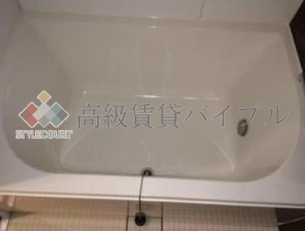 フォレスタリカ白金 の画像17