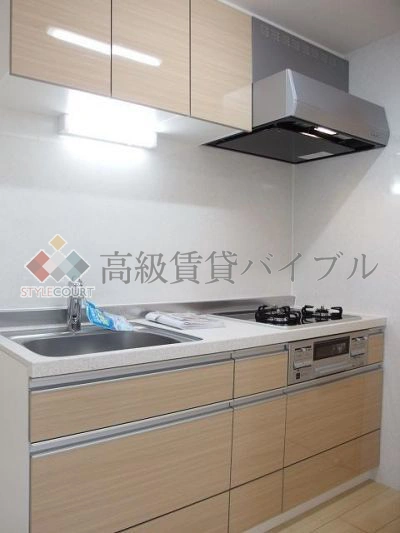 ボストーク・ネオ の画像17