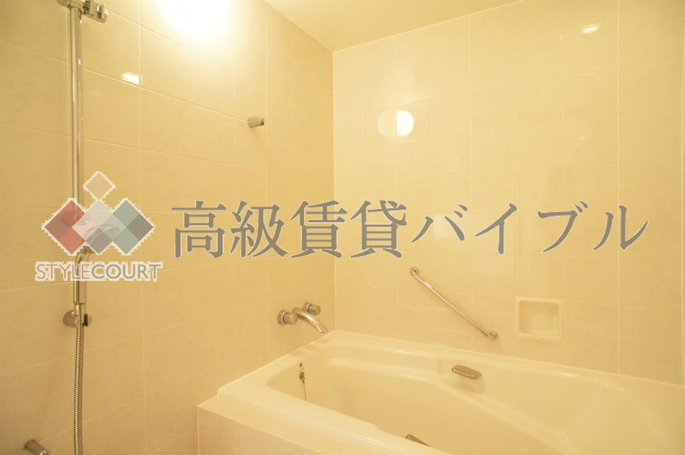 赤坂溜池タワーレジデンス の画像17