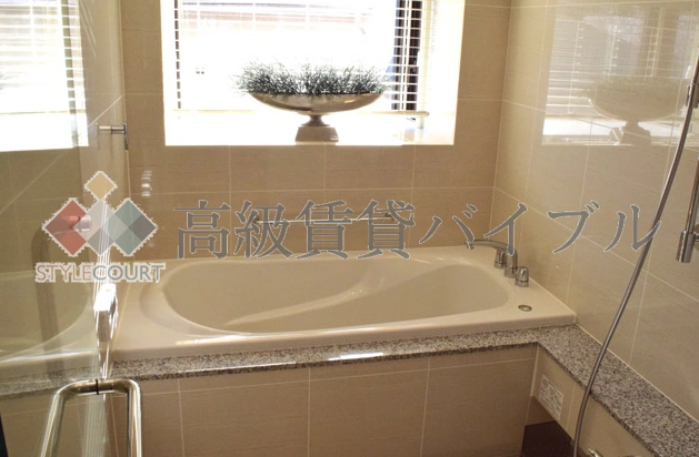 ザ・アッパーレジデンス南青山 の画像18