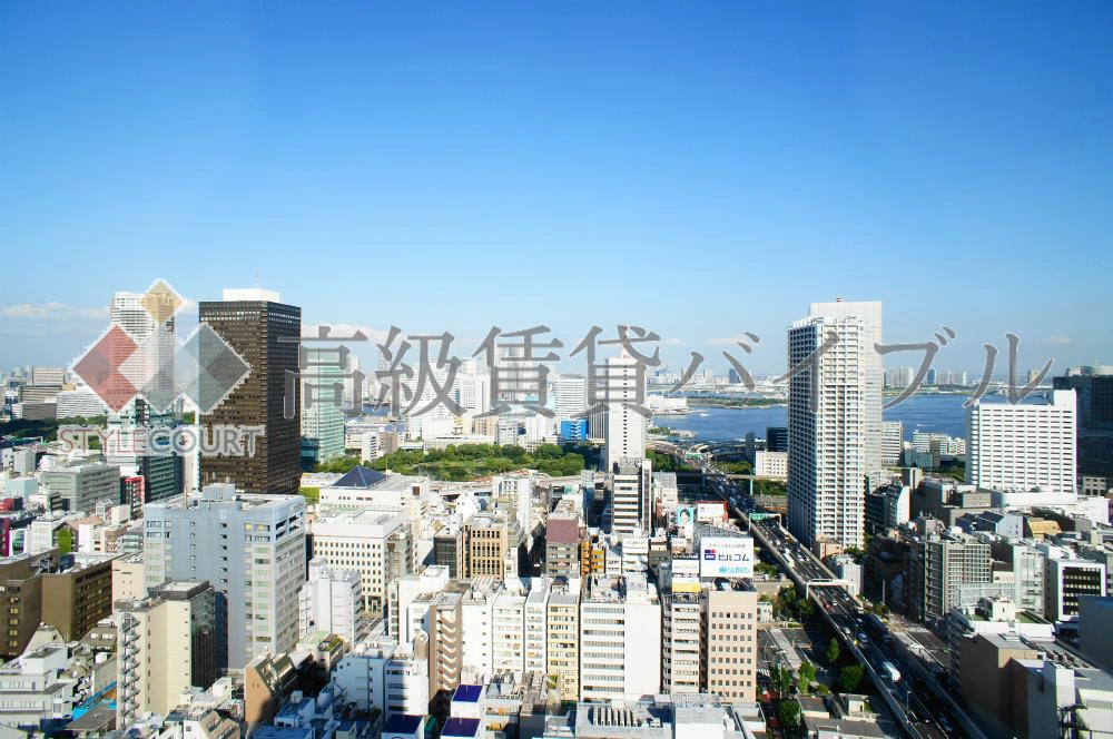 ラ・トゥール芝公園II の画像18