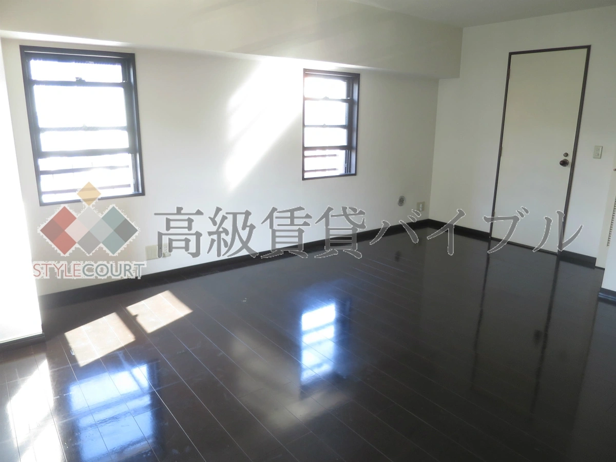 ヴァンキッシュ の画像19