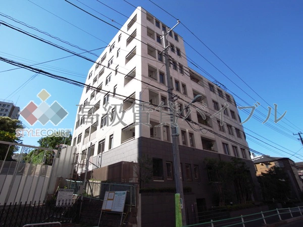 フォルム白金 の画像2