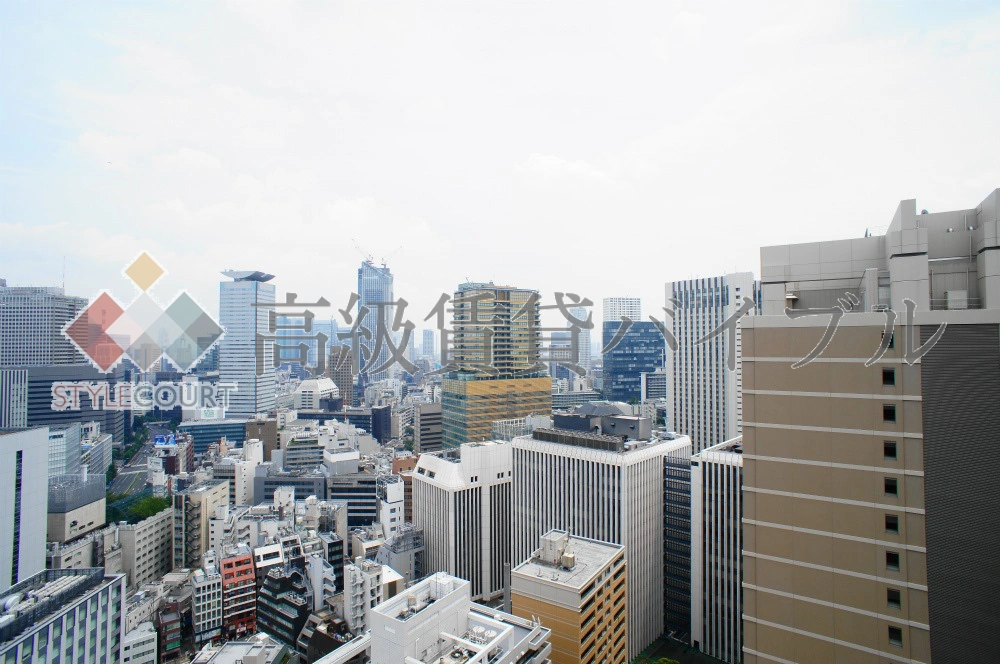 赤坂溜池タワーレジデンス の画像20