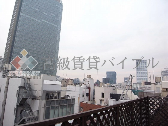 デュオ・スカーラ赤坂 の画像22