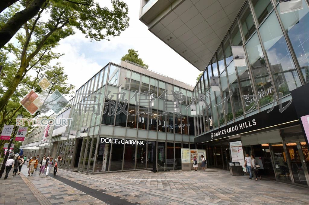 表参道ヒルズゼルコバテラス の画像3