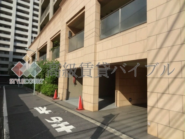 パロス白金 の画像3