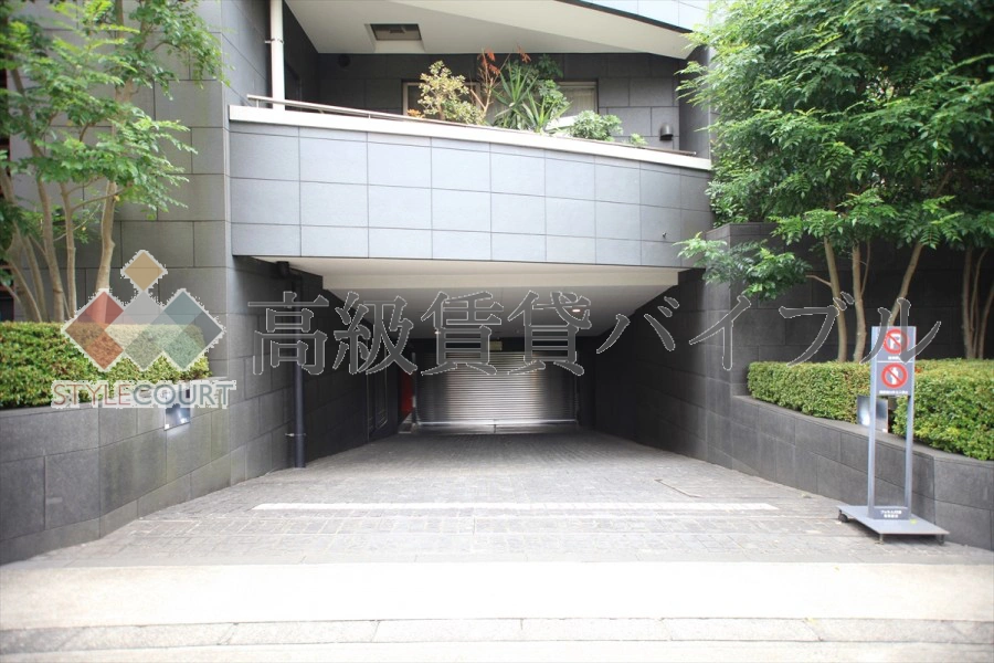 フォルム白金 の画像7