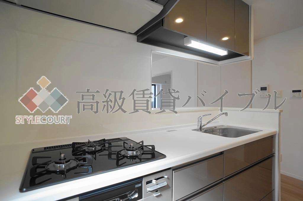 ザアクシス麹町 の画像8