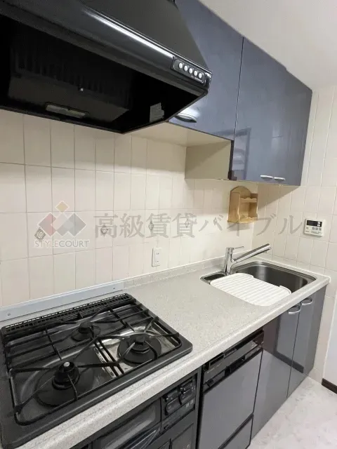 パロス白金 の画像22