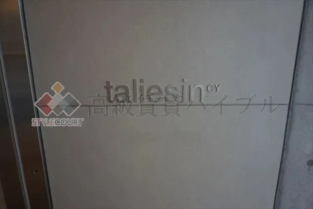 タリアセンシーワイ (taliesin CY) の画像4