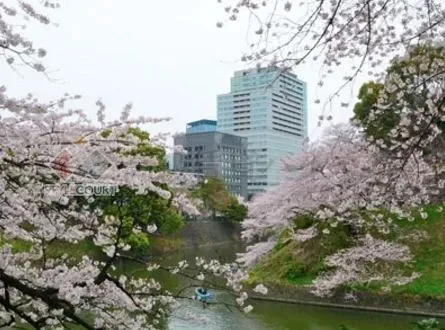 北の丸スクエア ザ・テラス の画像1