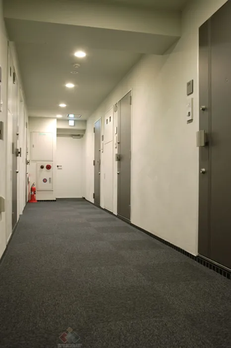 カスタリア雪谷 の画像8