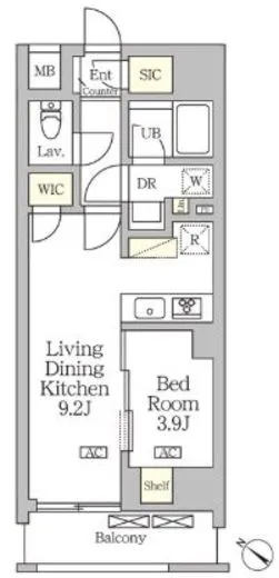 アジールコート松濤 204