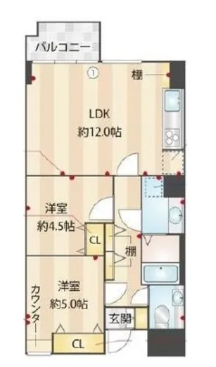 グランドシティ白山 7階 53.31㎡