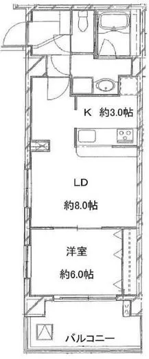 デュオ・スカーラ麹町 7階 46.62㎡