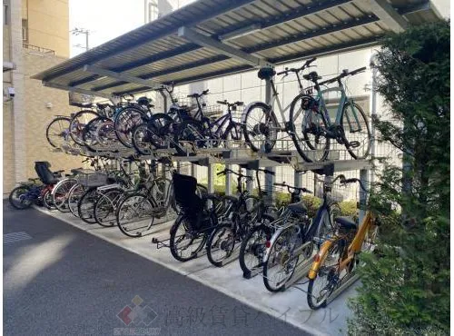 ヴェレーナ綾瀬 の画像4