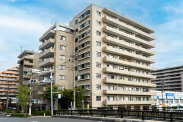 Daiwa Grace Maison 大島I