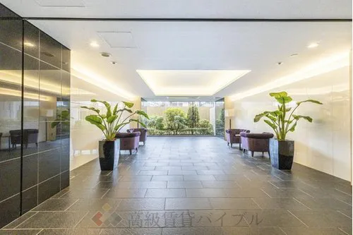 ヴェレーナ綾瀬 の画像5