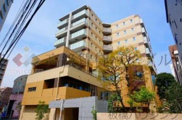 セルティスコート