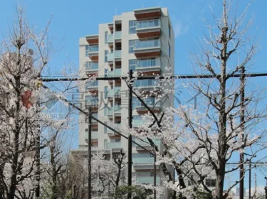 プレミスト代々木公園パークフロント