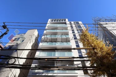 IPSE広尾 (イプセ広尾)