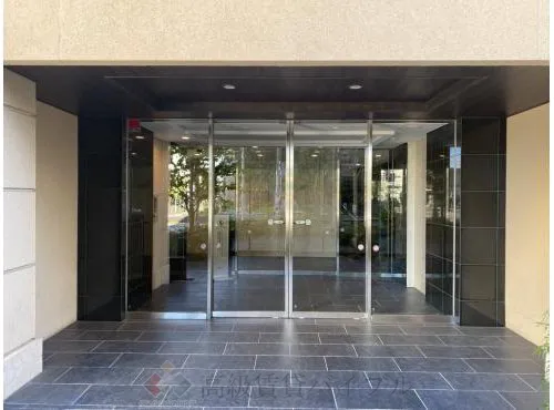 ヴェレーナ綾瀬 の画像3