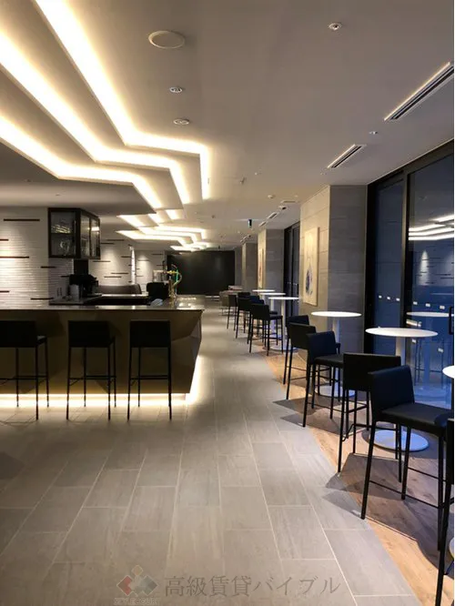 HARUMI FLAG SKYDUO PARK VILLAGE (晴海フラッグ スカイデュオ パークヴィレッジ) の画像5