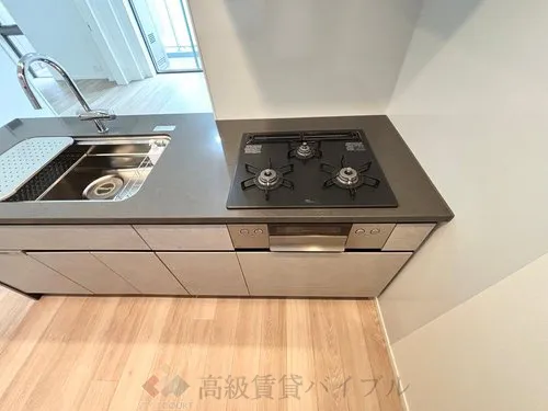 HARUMI FLAG SKYDUO PARK VILLAGE (晴海フラッグ スカイデュオ パークヴィレッジ) の画像8