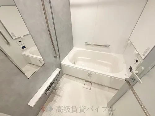 HARUMI FLAG SKYDUO PARK VILLAGE (晴海フラッグ スカイデュオ パークヴィレッジ) の画像11